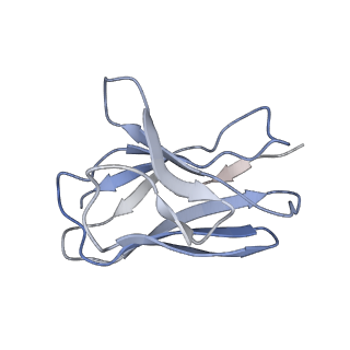 35746_8iv8_L_v1-0
Cryo-EM structure of SARS-CoV-2 spike protein in complex with double nAbs 3E2 and 1C4 (local refinement)