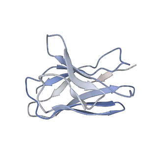 35746_8iv8_L_v1-1
Cryo-EM structure of SARS-CoV-2 spike protein in complex with double nAbs 3E2 and 1C4 (local refinement)