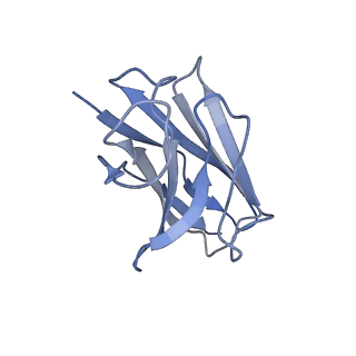 35755_8iva_C_v1-1
Cryo-EM structure of SARS-CoV-2 spike protein in complex with double nAbs XMA01 and 3E2 (local refinement)