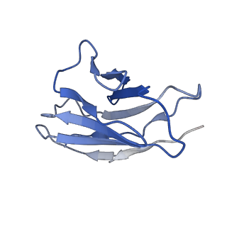 35755_8iva_E_v1-1
Cryo-EM structure of SARS-CoV-2 spike protein in complex with double nAbs XMA01 and 3E2 (local refinement)