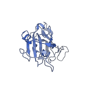 35755_8iva_G_v1-1
Cryo-EM structure of SARS-CoV-2 spike protein in complex with double nAbs XMA01 and 3E2 (local refinement)