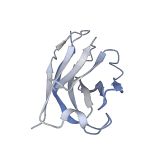 35755_8iva_H_v1-0
Cryo-EM structure of SARS-CoV-2 spike protein in complex with double nAbs XMA01 and 3E2 (local refinement)