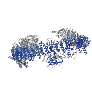 35759_8ivq_A_v1-0
Cryo-EM structure of mouse BIRC6, Global map