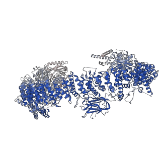 35759_8ivq_A_v1-1
Cryo-EM structure of mouse BIRC6, Global map