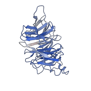 35763_8iw7_B_v1-2
Cryo-EM structure of the PEA-bound mTAAR9-Gs complex