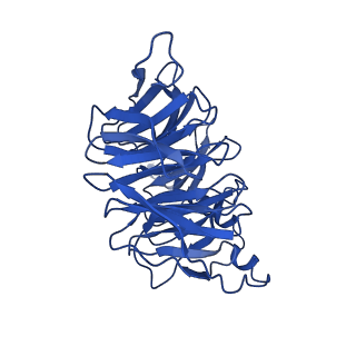 35764_8iw9_B_v1-2
Cryo-EM structure of the CAD-bound mTAAR9-Gs complex
