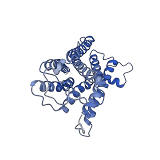 35764_8iw9_R_v1-2
Cryo-EM structure of the CAD-bound mTAAR9-Gs complex