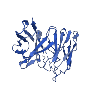 35764_8iw9_S_v1-2
Cryo-EM structure of the CAD-bound mTAAR9-Gs complex