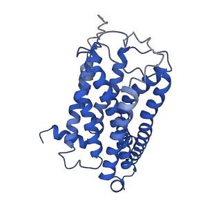 35765_8iwe_R_v1-2
Cryo-EM structure of the SPE-mTAAR9 complex