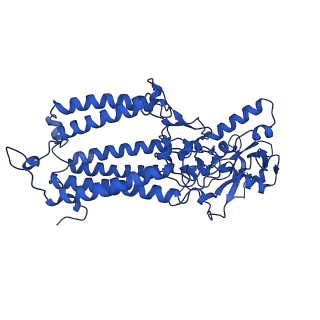 35766_8iwh_B_v1-1
Structure and characteristics of a photosystem II supercomplex containing monomeric LHCX and dimeric FCPII antennae from the diatom Thalassiosira pseudonana