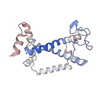 35783_8iwy_N_v1-2
Cryo-EM structure of protonated LHCII in detergent solution at low pH value