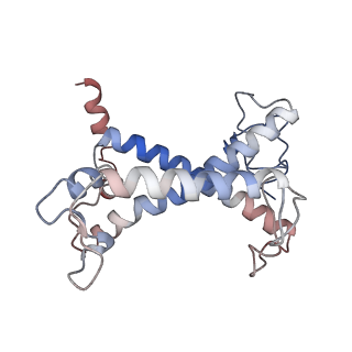 35783_8iwy_Y_v1-2
Cryo-EM structure of protonated LHCII in detergent solution at low pH value
