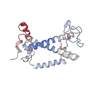 35784_8iwz_N_v1-2
Cryo-EM structure of unprotonated LHCII in detergent solution at low pH value