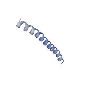 9743_6iww_B_v1-2
Cryo-EM structure of the S. typhimurium oxaloacetate decarboxylase beta-gamma sub-complex