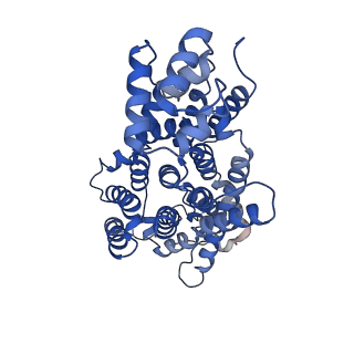 9743_6iww_E_v1-2
Cryo-EM structure of the S. typhimurium oxaloacetate decarboxylase beta-gamma sub-complex