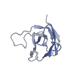 35788_8ix3_H_v1-1
Cryo-EM structure of SARS-CoV-2 BA.4/5 spike protein in complex with 1G11 (local refinement)