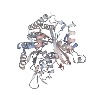 35790_8ixa_A_v1-2
GMPCPP-Alpha1A/Beta2A-microtubule decorated with kinesin non-seam region