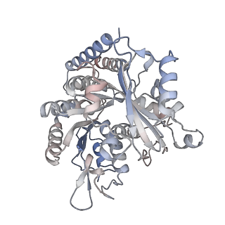 35790_8ixa_B_v1-2
GMPCPP-Alpha1A/Beta2A-microtubule decorated with kinesin non-seam region