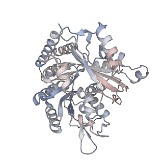35790_8ixa_C_v1-2
GMPCPP-Alpha1A/Beta2A-microtubule decorated with kinesin non-seam region