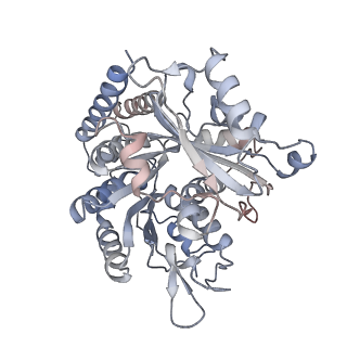 35790_8ixa_D_v1-2
GMPCPP-Alpha1A/Beta2A-microtubule decorated with kinesin non-seam region