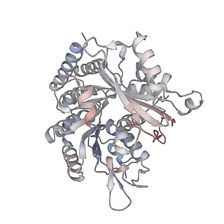35790_8ixa_E_v1-2
GMPCPP-Alpha1A/Beta2A-microtubule decorated with kinesin non-seam region
