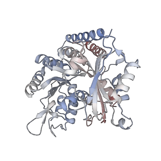 35790_8ixa_F_v1-2
GMPCPP-Alpha1A/Beta2A-microtubule decorated with kinesin non-seam region