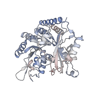 35790_8ixa_G_v1-2
GMPCPP-Alpha1A/Beta2A-microtubule decorated with kinesin non-seam region