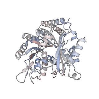 35790_8ixa_H_v1-2
GMPCPP-Alpha1A/Beta2A-microtubule decorated with kinesin non-seam region