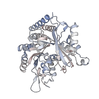 35790_8ixa_I_v1-2
GMPCPP-Alpha1A/Beta2A-microtubule decorated with kinesin non-seam region