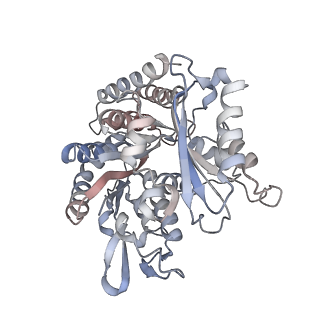 35790_8ixa_J_v1-2
GMPCPP-Alpha1A/Beta2A-microtubule decorated with kinesin non-seam region