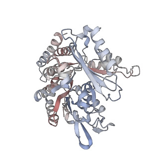 35790_8ixa_L_v1-2
GMPCPP-Alpha1A/Beta2A-microtubule decorated with kinesin non-seam region