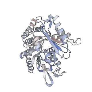 35790_8ixa_M_v1-2
GMPCPP-Alpha1A/Beta2A-microtubule decorated with kinesin non-seam region