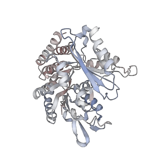 35790_8ixa_N_v1-2
GMPCPP-Alpha1A/Beta2A-microtubule decorated with kinesin non-seam region