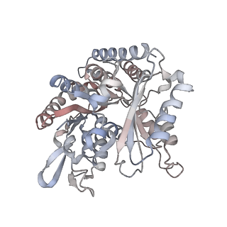35790_8ixa_O_v1-2
GMPCPP-Alpha1A/Beta2A-microtubule decorated with kinesin non-seam region