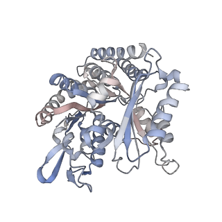 35790_8ixa_P_v1-2
GMPCPP-Alpha1A/Beta2A-microtubule decorated with kinesin non-seam region