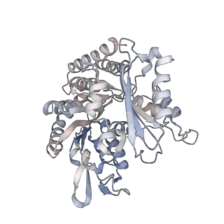 35790_8ixa_Q_v1-2
GMPCPP-Alpha1A/Beta2A-microtubule decorated with kinesin non-seam region