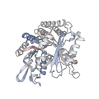 35790_8ixa_R_v1-2
GMPCPP-Alpha1A/Beta2A-microtubule decorated with kinesin non-seam region