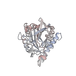 35790_8ixa_S_v1-2
GMPCPP-Alpha1A/Beta2A-microtubule decorated with kinesin non-seam region