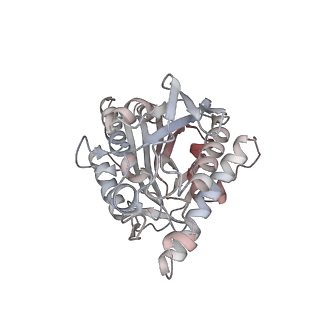 35790_8ixa_T_v1-2
GMPCPP-Alpha1A/Beta2A-microtubule decorated with kinesin non-seam region