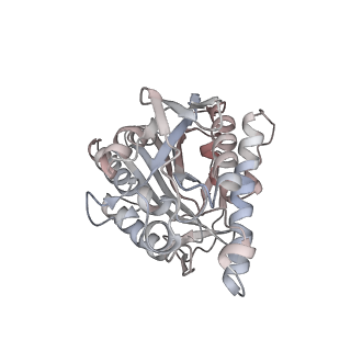 35790_8ixa_U_v1-2
GMPCPP-Alpha1A/Beta2A-microtubule decorated with kinesin non-seam region