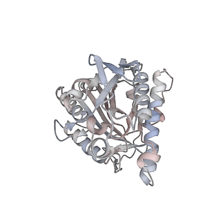 35790_8ixa_V_v1-2
GMPCPP-Alpha1A/Beta2A-microtubule decorated with kinesin non-seam region
