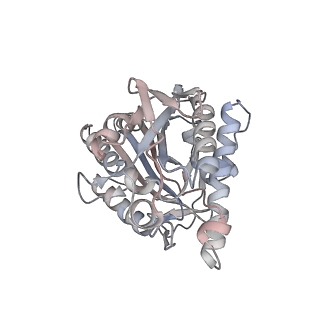 35790_8ixa_W_v1-2
GMPCPP-Alpha1A/Beta2A-microtubule decorated with kinesin non-seam region