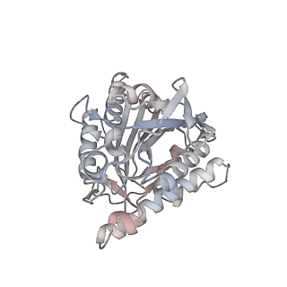 35790_8ixa_X_v1-2
GMPCPP-Alpha1A/Beta2A-microtubule decorated with kinesin non-seam region