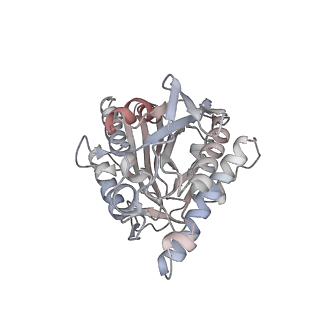 35790_8ixa_Y_v1-2
GMPCPP-Alpha1A/Beta2A-microtubule decorated with kinesin non-seam region
