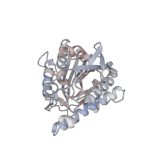 35790_8ixa_Z_v1-2
GMPCPP-Alpha1A/Beta2A-microtubule decorated with kinesin non-seam region