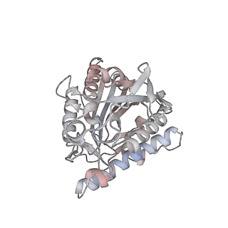 35790_8ixa_a_v1-2
GMPCPP-Alpha1A/Beta2A-microtubule decorated with kinesin non-seam region