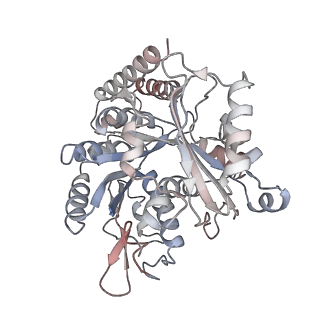 35791_8ixd_A_v1-2
GMPCPP-Alpha1C/Beta2A-microtubule decorated with kinesin non-seam region