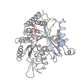 35791_8ixd_B_v1-2
GMPCPP-Alpha1C/Beta2A-microtubule decorated with kinesin non-seam region