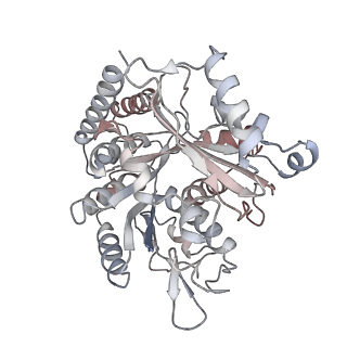 35791_8ixd_C_v1-2
GMPCPP-Alpha1C/Beta2A-microtubule decorated with kinesin non-seam region