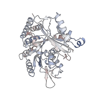 35791_8ixd_D_v1-2
GMPCPP-Alpha1C/Beta2A-microtubule decorated with kinesin non-seam region